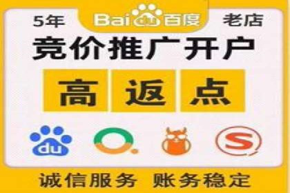 关键时刻的关键词竞价排名：企业逆袭的秘诀